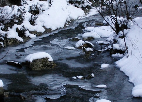 ice on creek