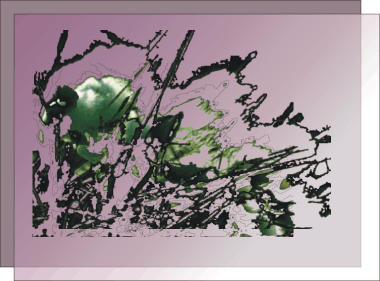 bog cotton mask on background