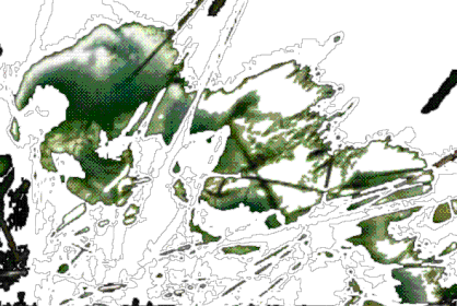 bog cotton masked 1