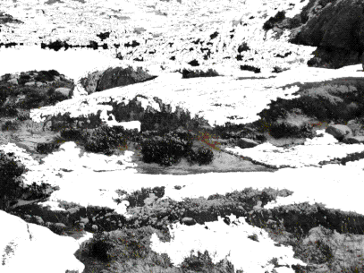 landscape after snow has been deleted