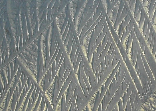 ice feathers close up